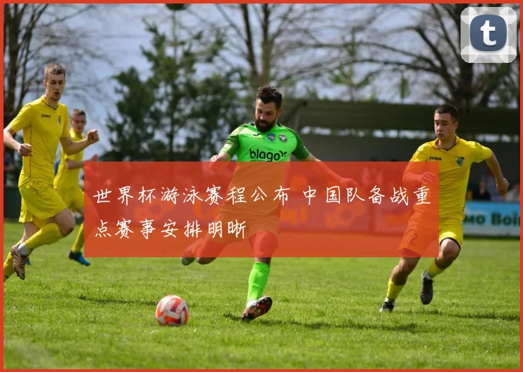 世界杯游泳赛程公布 中国队备战重点赛事安排明晰
