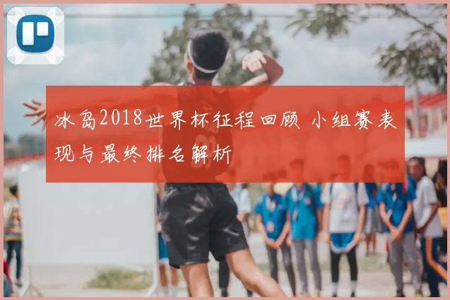 冰岛2018世界杯征程回顾 小组赛表现与最终排名解析
