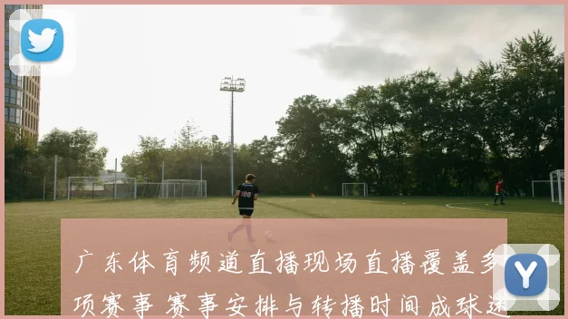 广东体育频道直播现场直播覆盖多项赛事 赛事安排与转播时间成球迷关注焦点