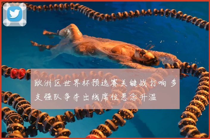 欧洲区世界杯预选赛关键战打响 多支强队争夺出线席位悬念升温