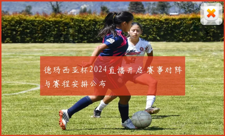 德玛西亚杯2024直播开启 赛事对阵与赛程安排公布